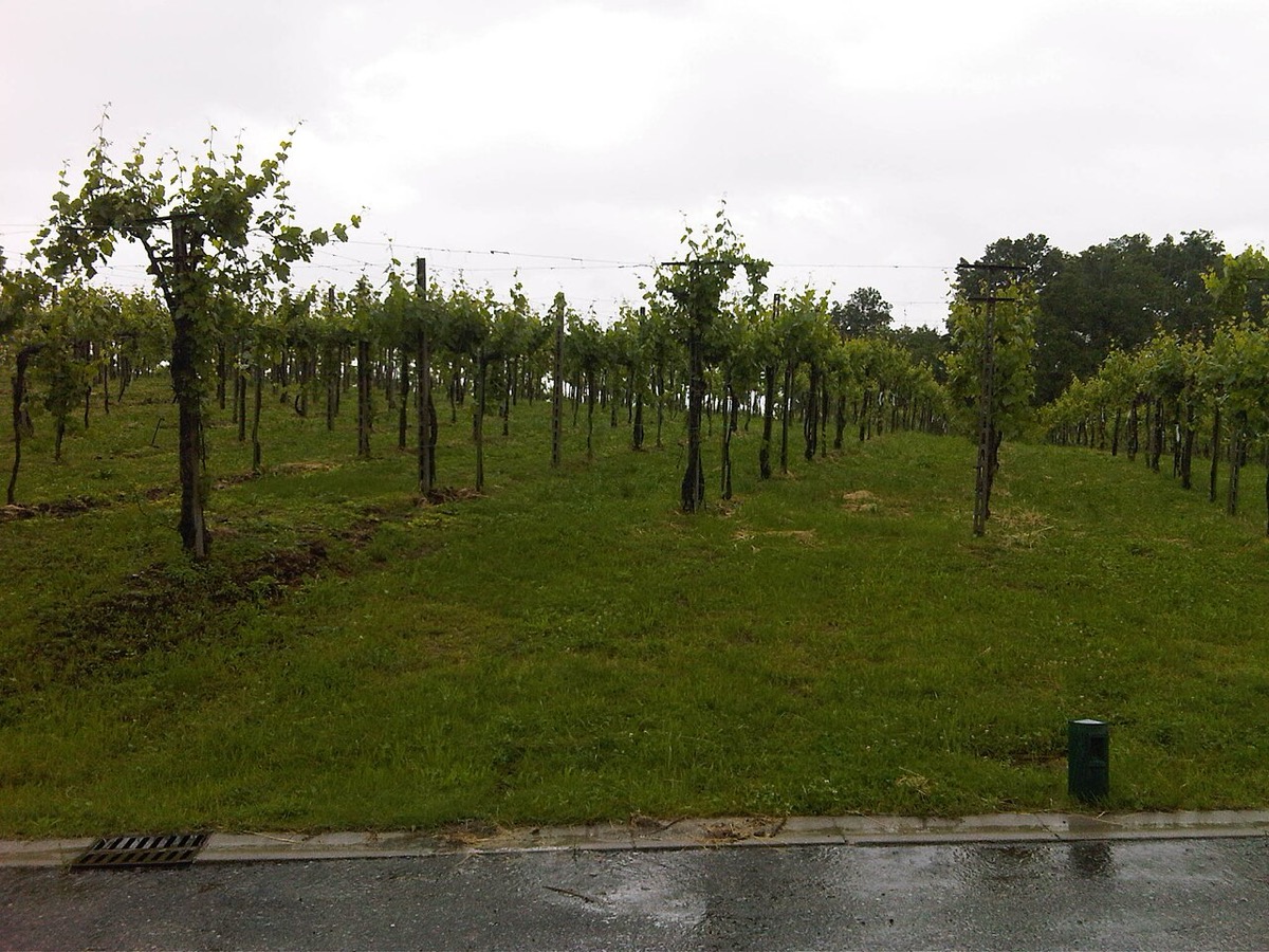 Franciacorta
